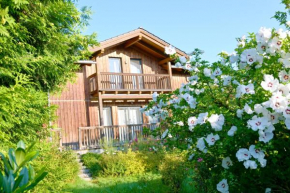 Chalet Attersee - ganzes Ferienhaus, Seeblick, Kamin, Sauna